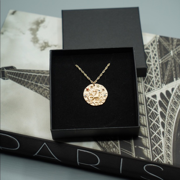 Zodiac CAPRICORN coin necklace horoscope astrology - Picture 3 of 6